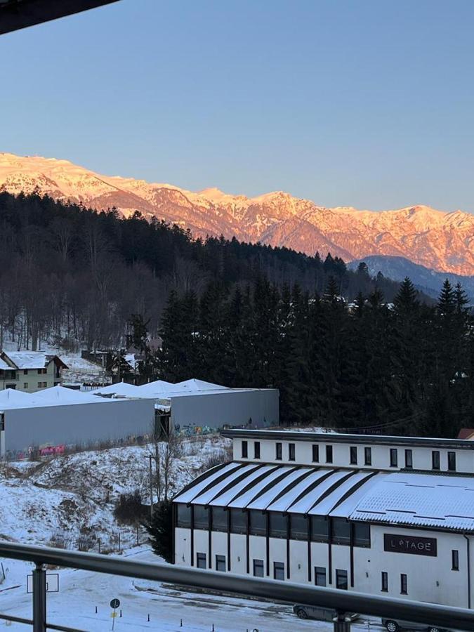 Coca Apart Mountain View سِنايا المظهر الخارجي الصورة