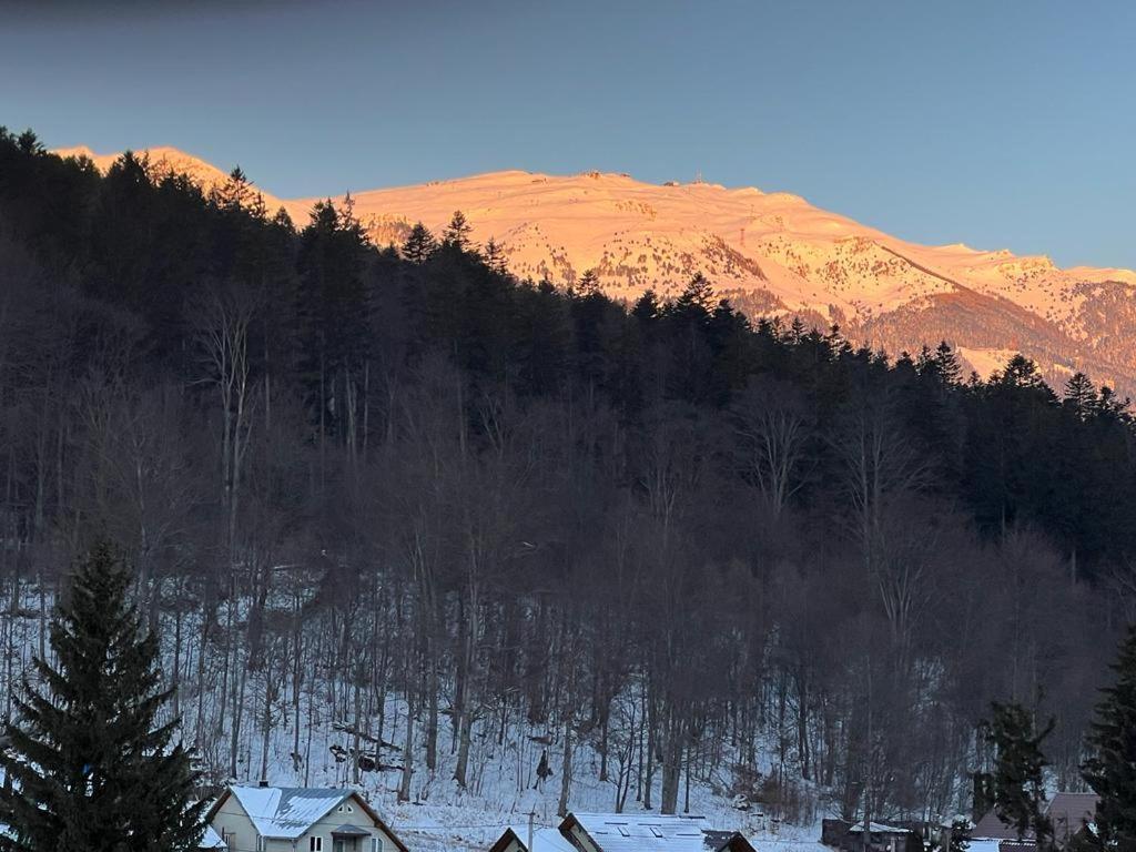 Coca Apart Mountain View سِنايا المظهر الخارجي الصورة