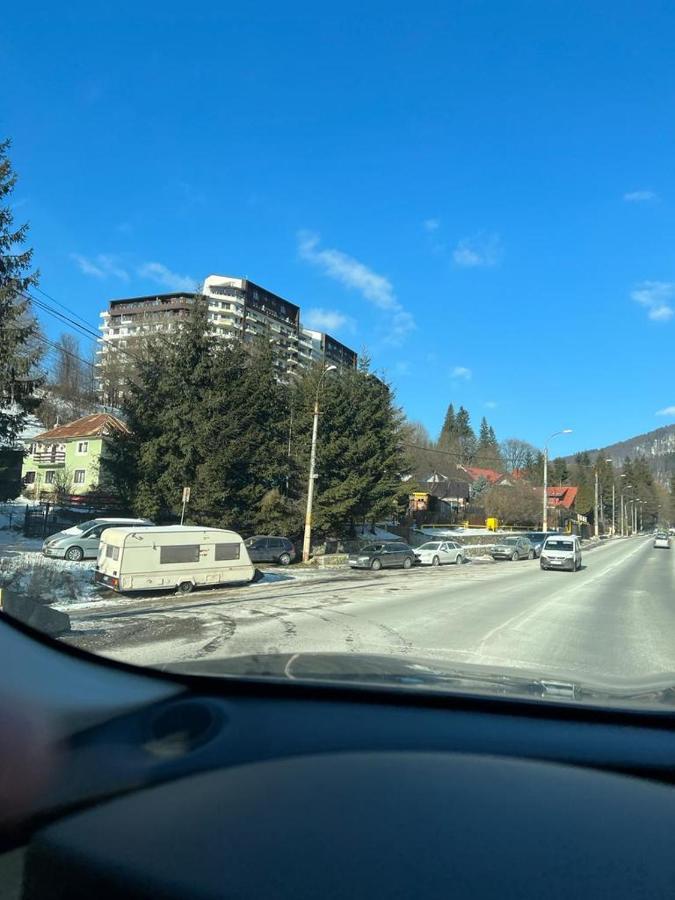 Coca Apart Mountain View سِنايا المظهر الخارجي الصورة