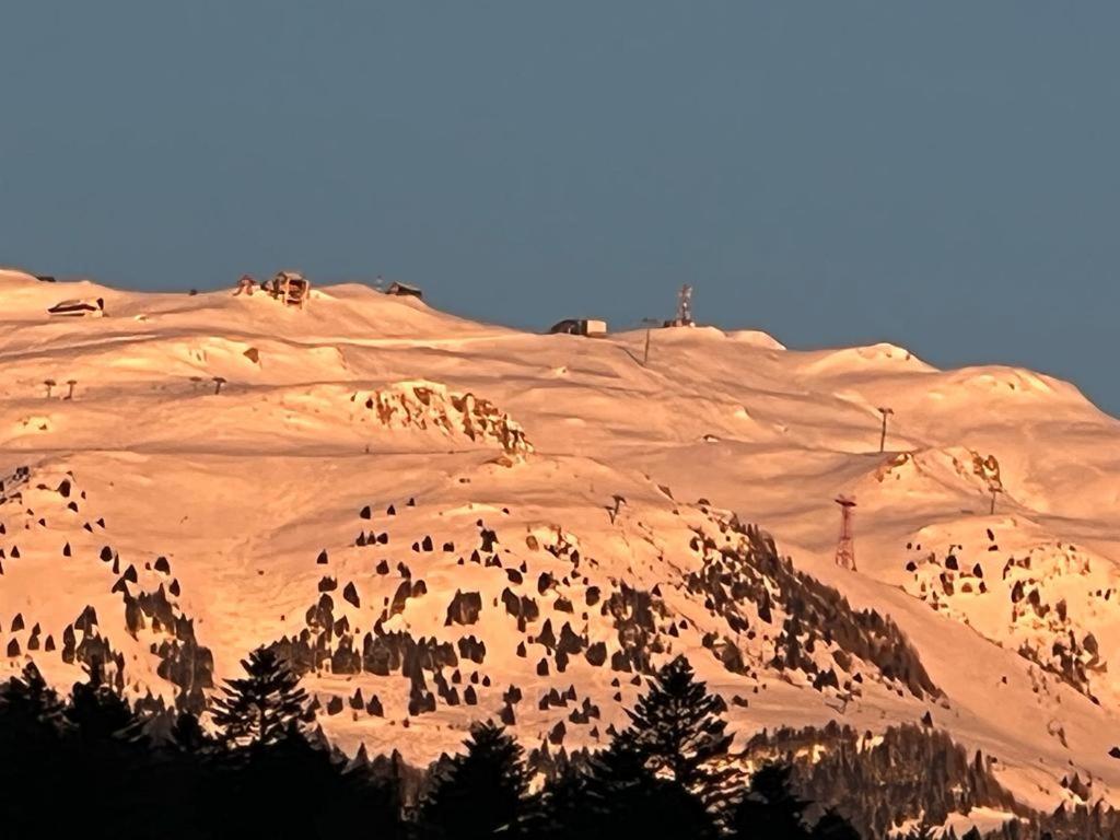 Coca Apart Mountain View سِنايا المظهر الخارجي الصورة